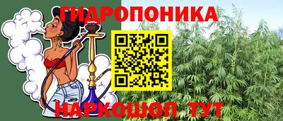 гидра Краснокаменск