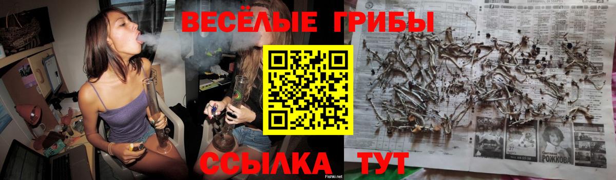 Галлюциногенные грибы мицелий Карачаевск