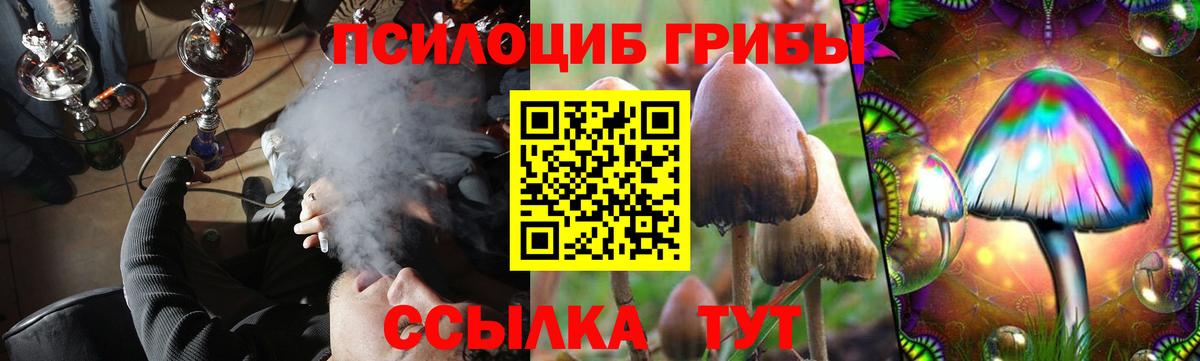 Галлюциногенные грибы Psilocybine cubensis  Вход с VPN  Псилоцибиновые грибы Psilocybe  наркотики  Карачаевск 