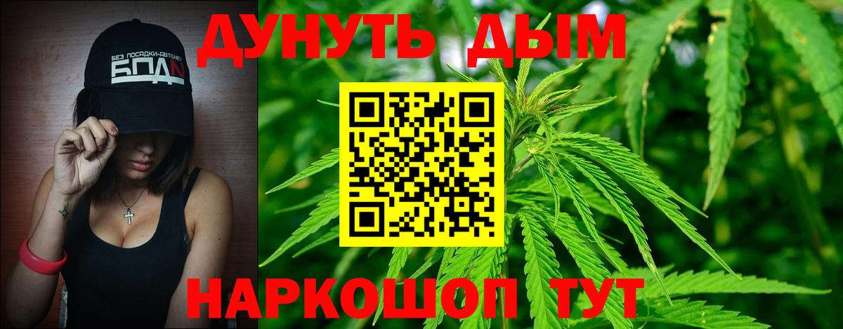 МАРИХУАНА план  Вход с VPN  Карачаевск  Марихуана гибрид  Конопля AK-47 