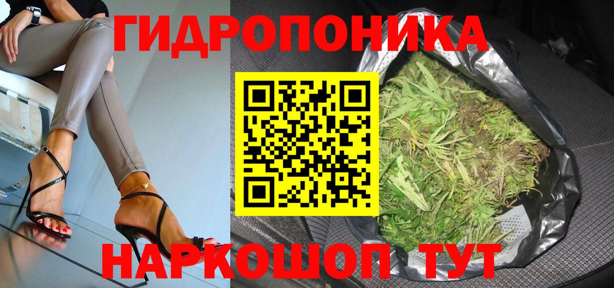 Каннабис индика Карачаевск